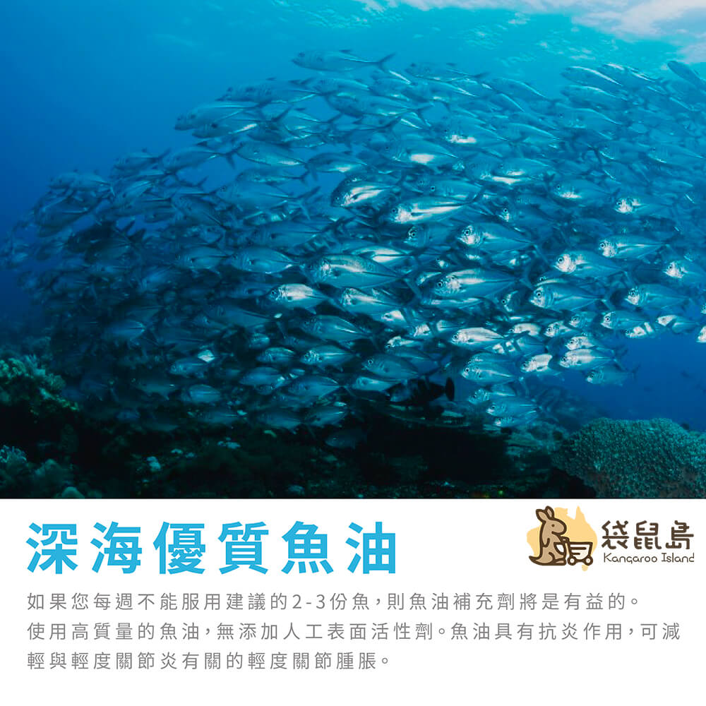 澳洲 Healthy Care 深海魚油Omega-3