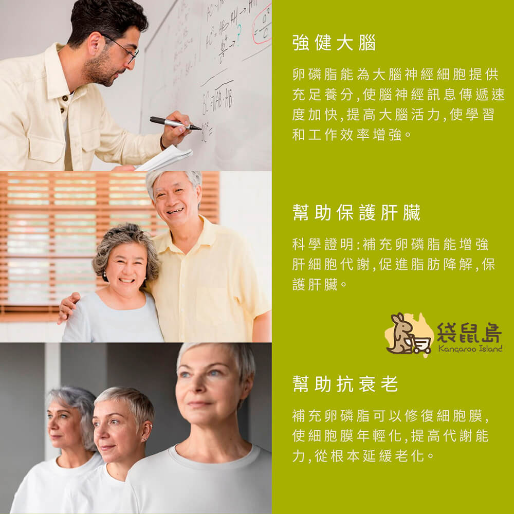 Healthy Care 大豆卵磷脂功效