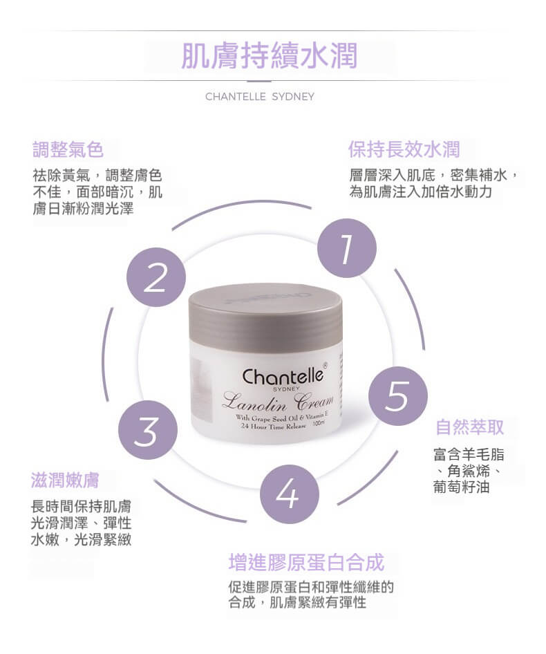 Chantelle 葡萄籽綿羊霜肌膚持續保濕循環說明