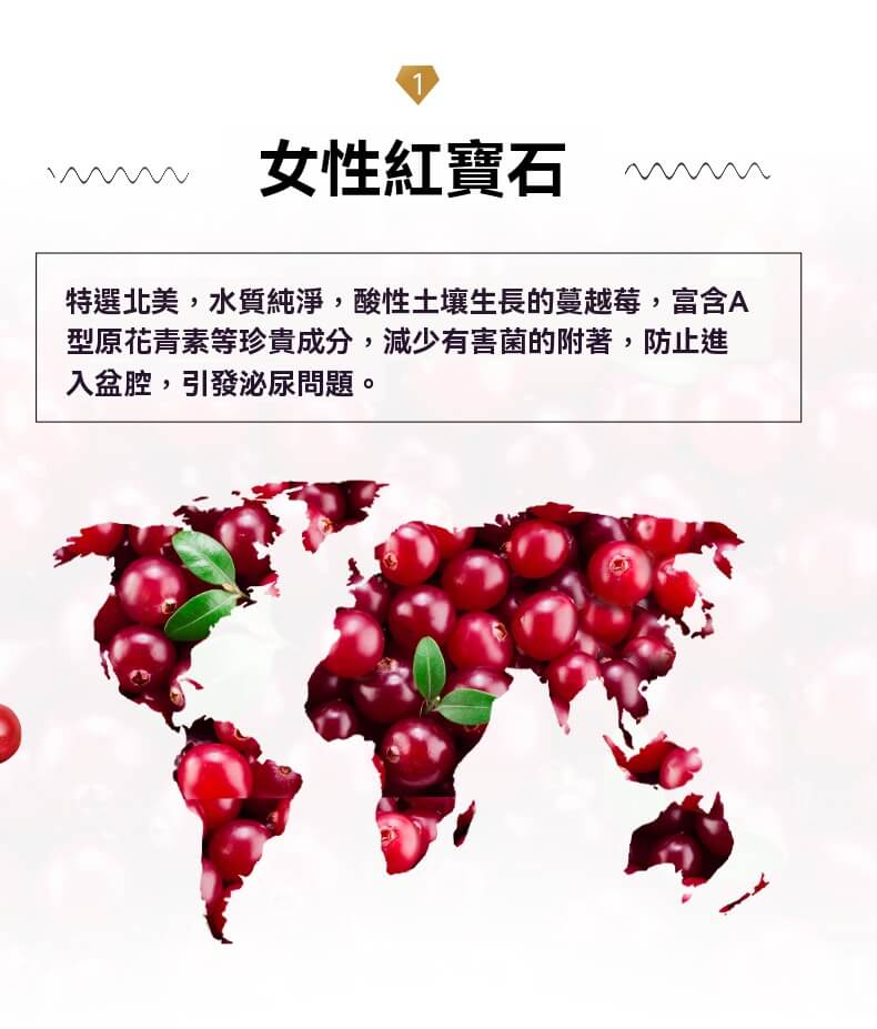北美原生蔓越莓高濃度精華，富含A型原花青素，有效防止細菌附著
