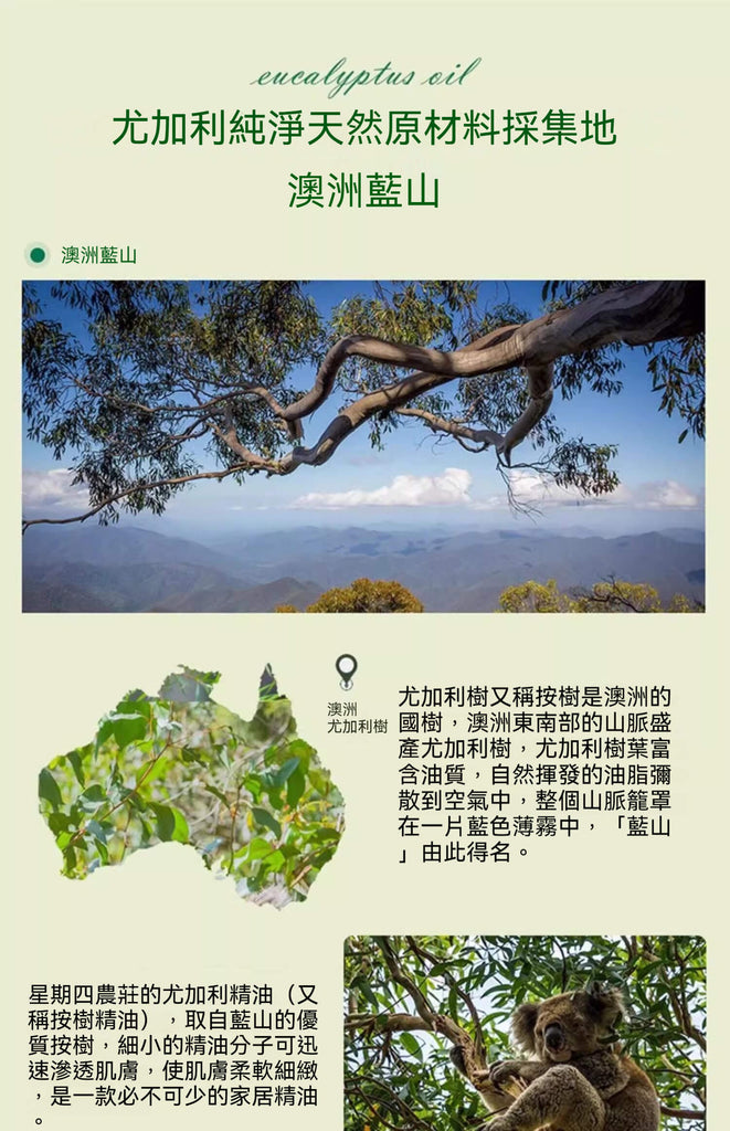 Thursday Plantation 星期四農莊尤加利精油50ml來自澳洲藍山天然尤加利樹，旅行也能享受純淨香氣