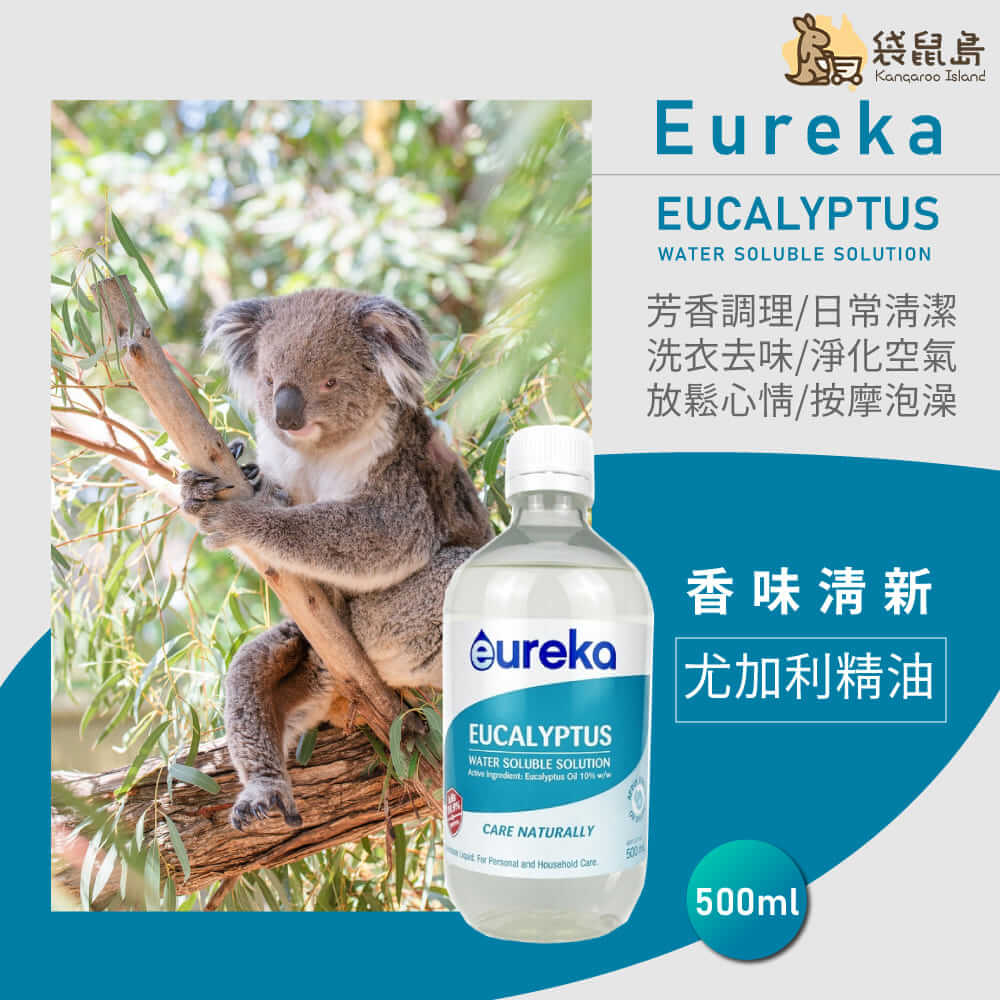 Eureka 尤加利精油搭配無尾熊意象與應用建議，包括清潔、芳香與泡澡用途