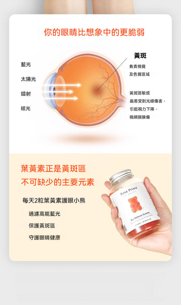 葉黃素守護黃斑部，護眼小熊幫助阻擋藍光，保護視力健康