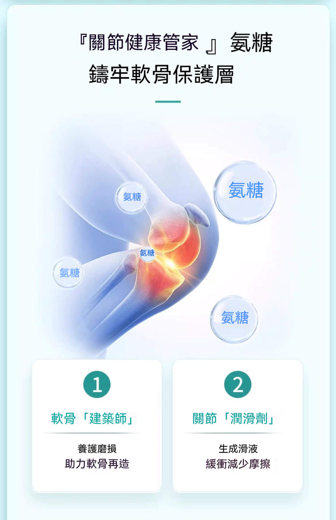 氨糖保護軟骨與關節滑液生成機制說明圖