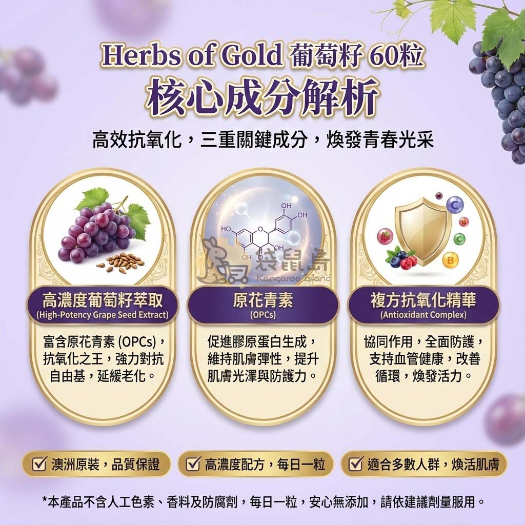 葡萄籽成分解析 高濃度萃取 複方抗氧化精華 改善血液循環