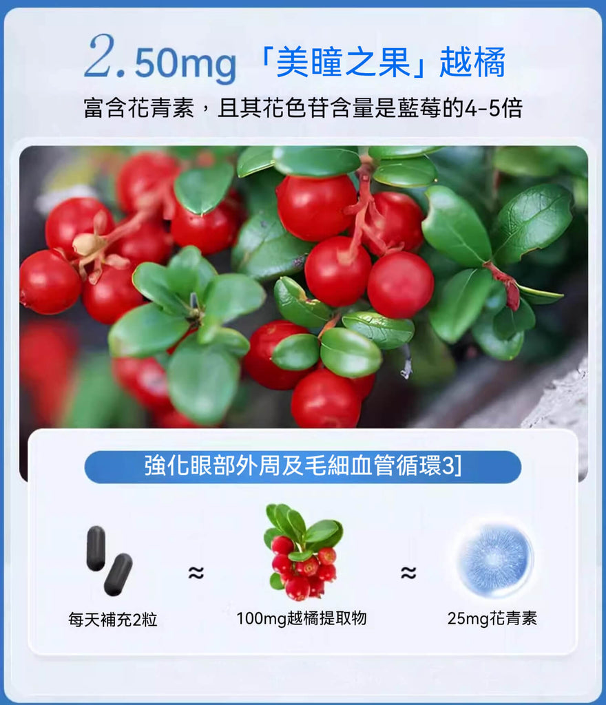 每兩粒含 100mg 越橘萃取物與 25mg 花青素，富含抗氧化力
