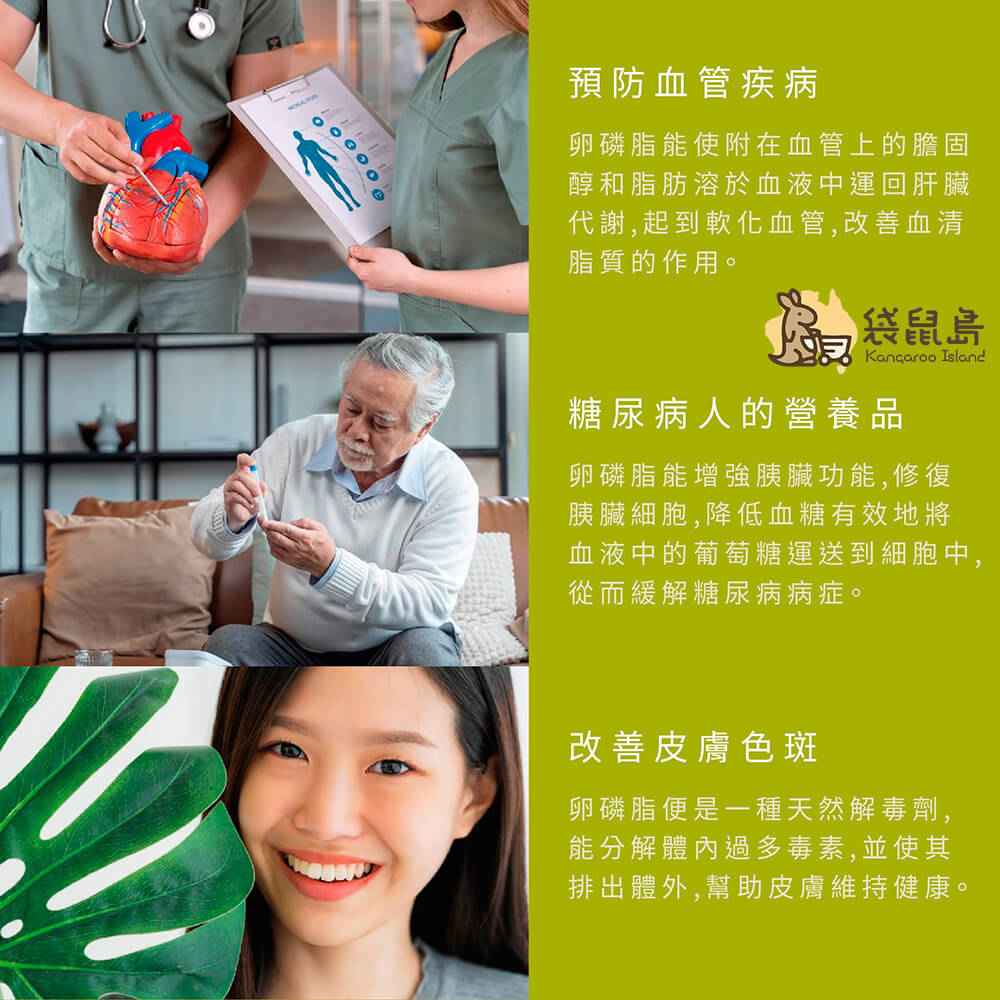 卵磷脂可預防血管疾病、糖尿病營養補充、改善皮膚色斑問題