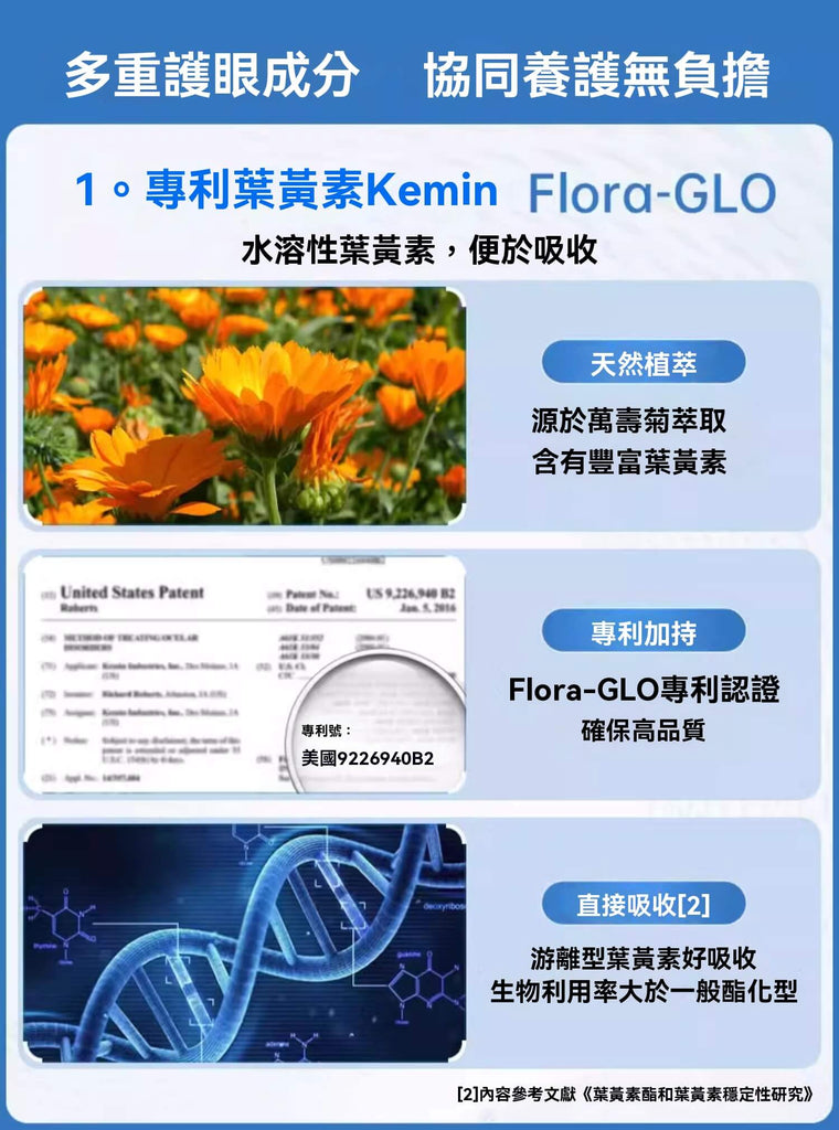 專利葉黃素 Flora-GLO 介紹，含萬壽菊萃取與吸收機制說明