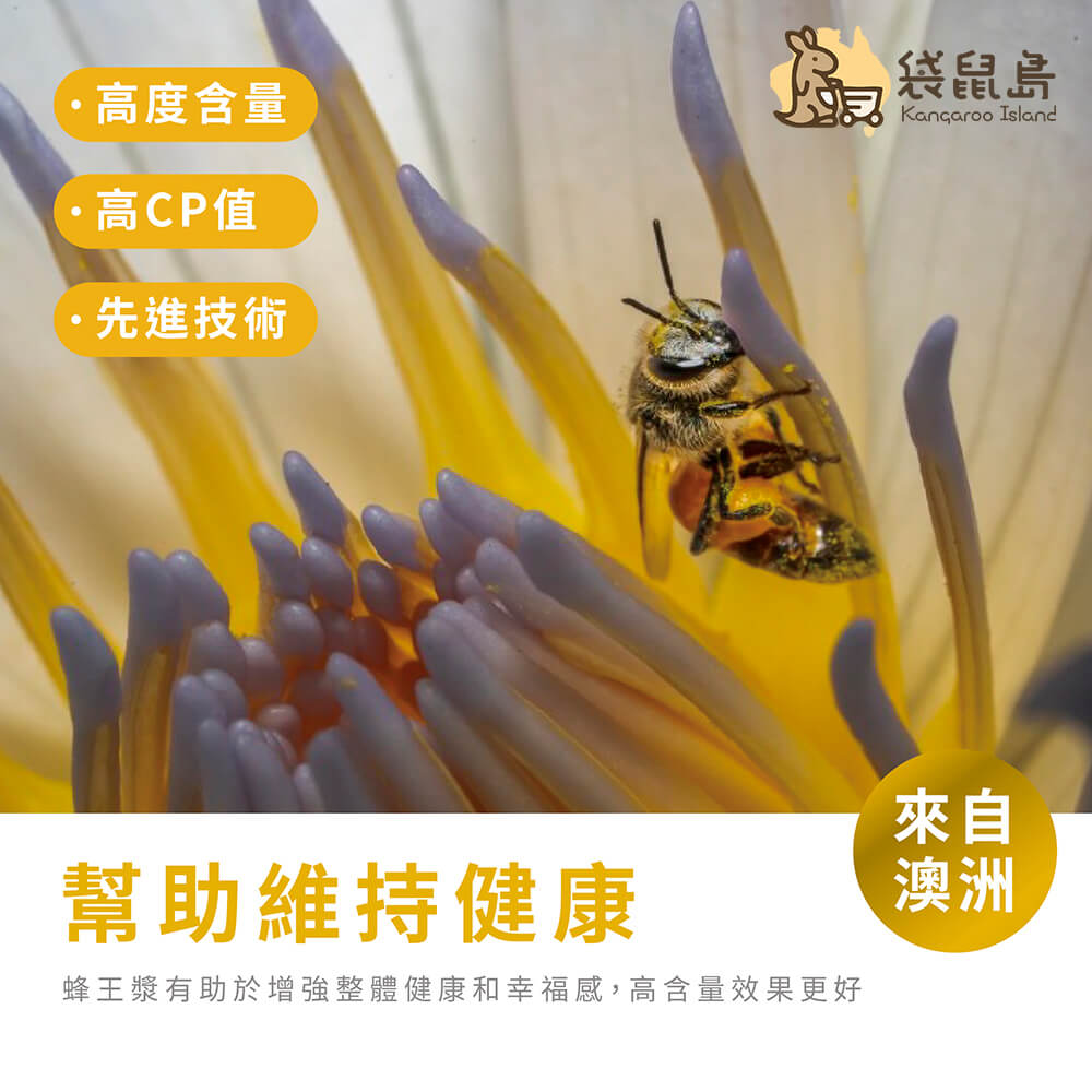 Healthy Care 蜂王乳，澳洲高CP值保健品，幫助維持整體健康與幸福感