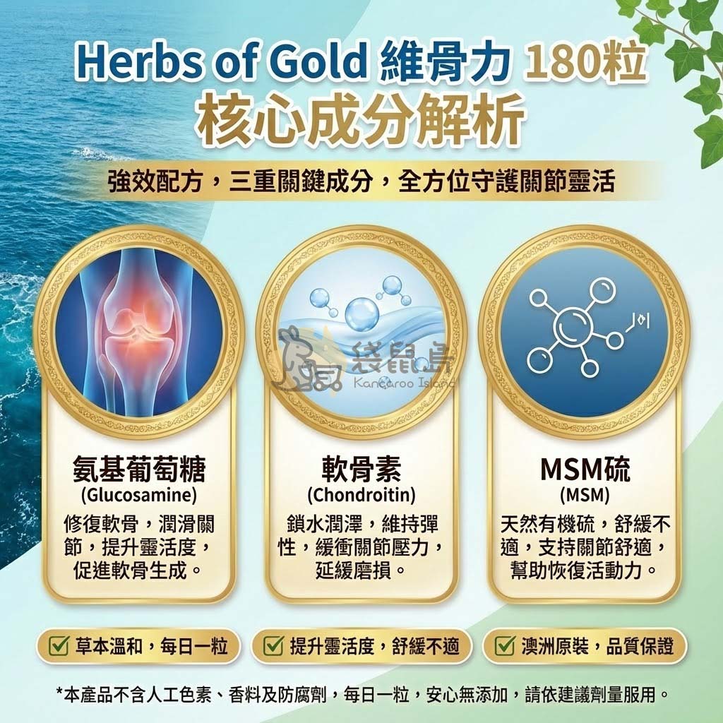 維骨力核心成分解析 氨基葡萄糖修復軟骨 軟骨素潤滑 MSM舒緩 - Herbs of Gold