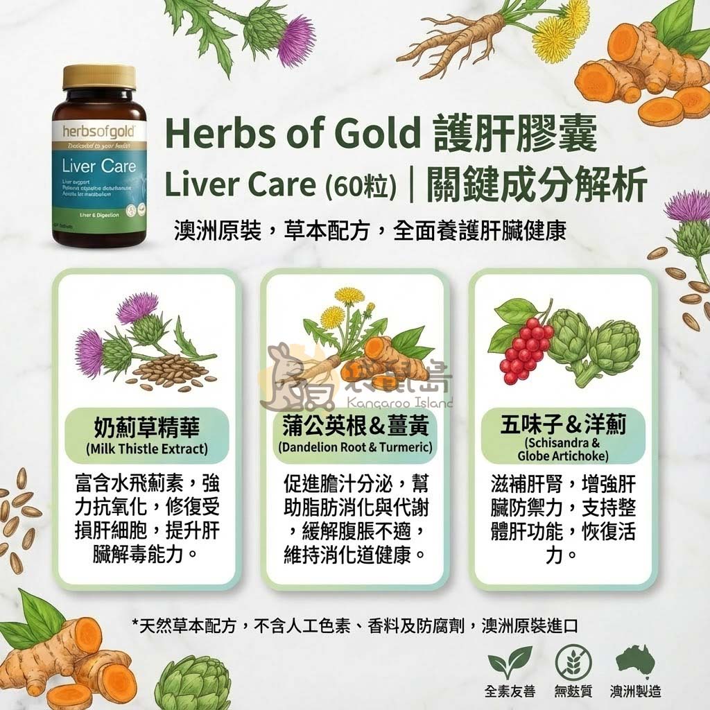 護肝關鍵成分解析 水飛薊精華 蒲公英 薑黃 五味子 - Herbs of Gold