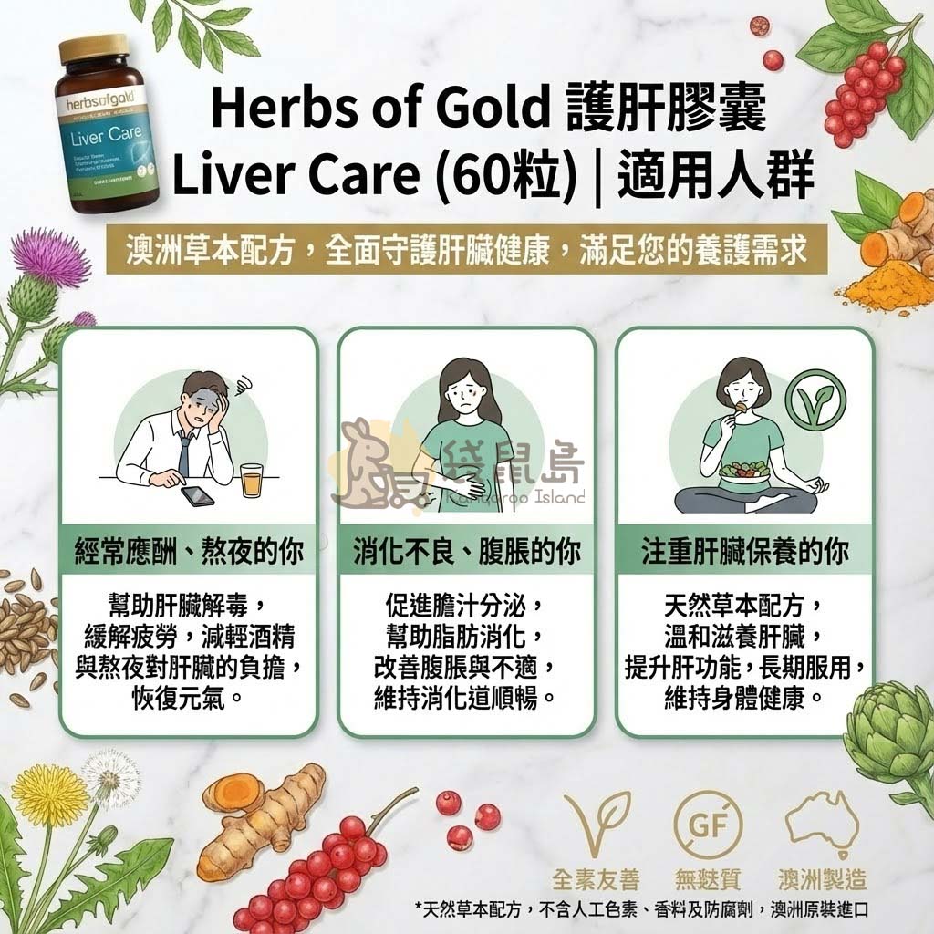 護肝膠囊適用人群 熬夜應酬 消化不良 脂肪代謝 緩解疲勞