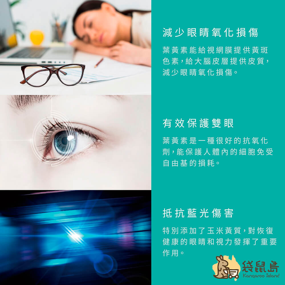 葉黃素能給視網膜提供黃斑色素，減少眼睛氧化損傷、抵抗藍光傷害。