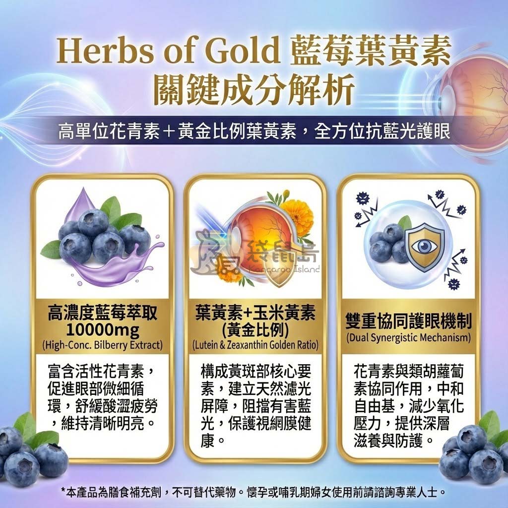護眼關鍵成分 高濃度藍莓萃取10000mg 葉黃素黃金比例 雙重護眼機制