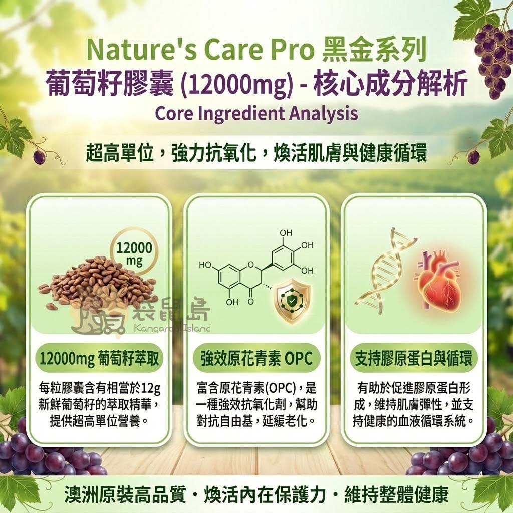 葡萄籽膠囊成分解析：12000mg高單位萃取與OPC原花青素抗氧化功效