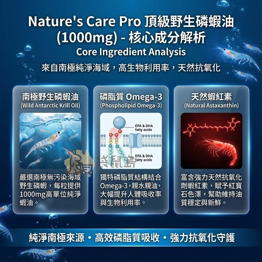 南極野生磷蝦油核心成分：磷脂質Omega-3與天然蝦紅素解析