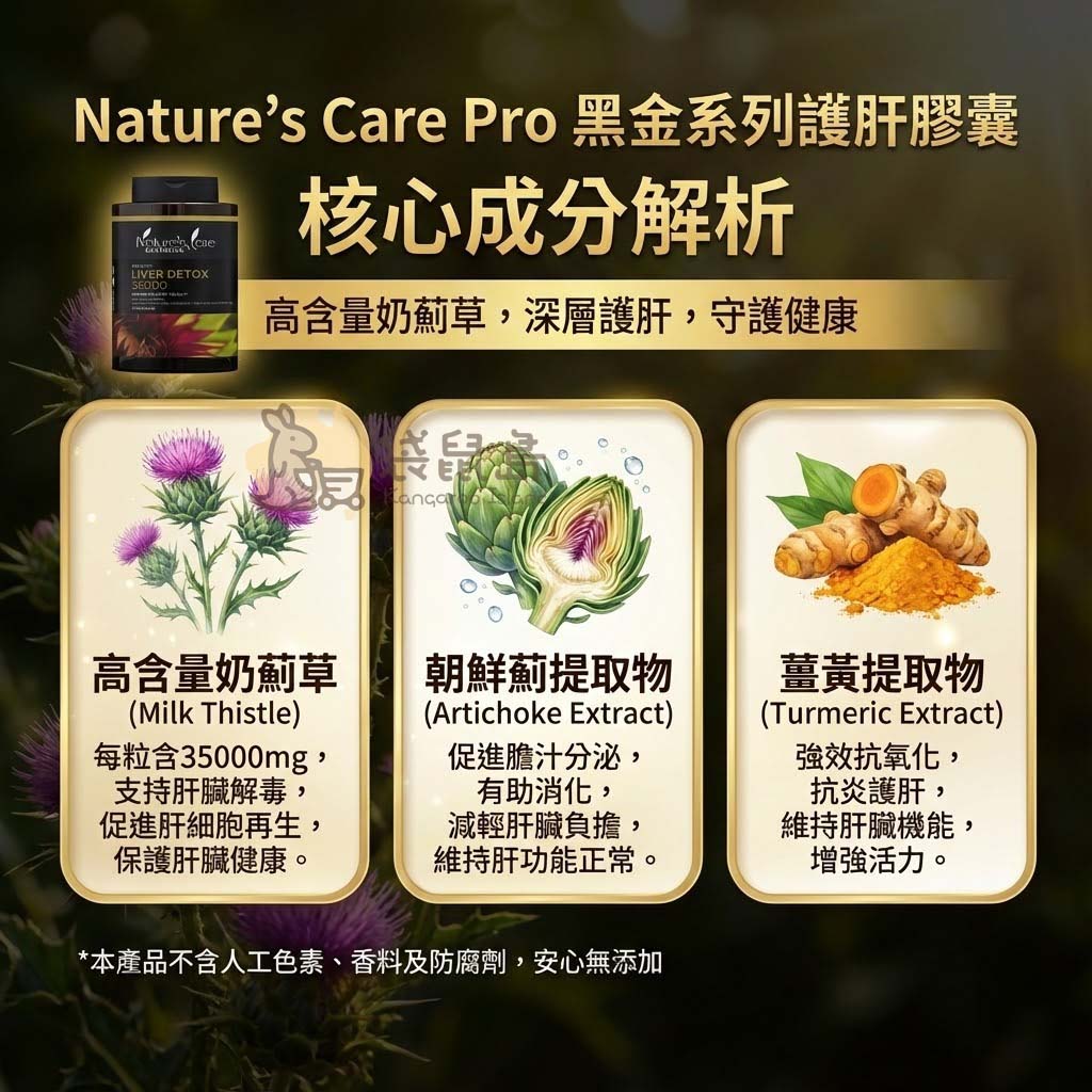 護肝膠囊核心成分解析：高含量奶薊草、朝鮮薊與薑黃提取物幫助深層護肝
