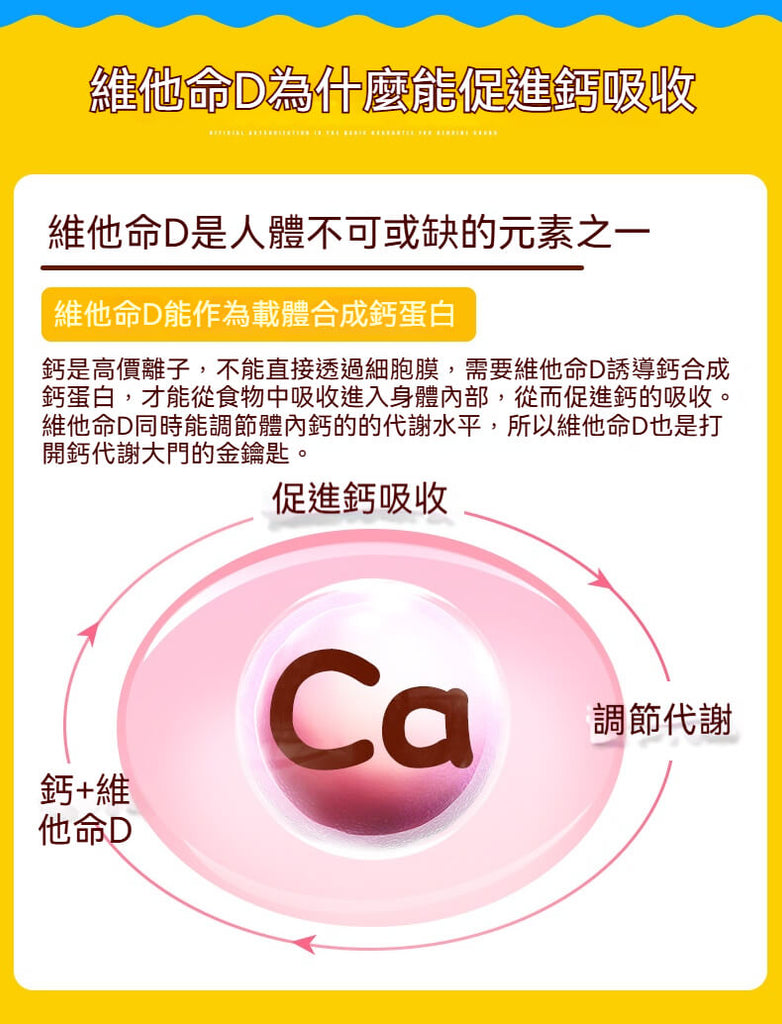 維他命D幫助鈣吸收與代謝，促進兒童骨骼發展
