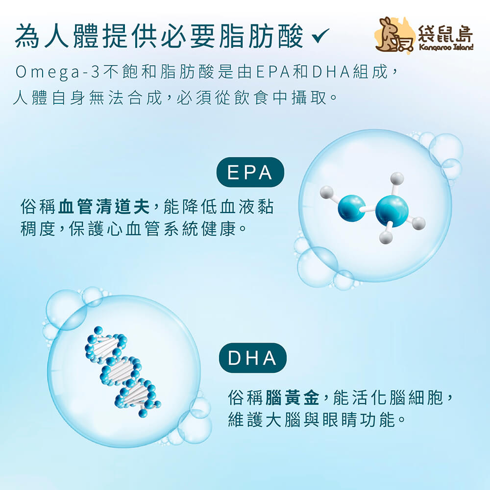 Omega-3 必需脂肪酸的分解圖：EPA（血管清道夫，保護心血管），DHA（腦黃金，活化腦細胞）。