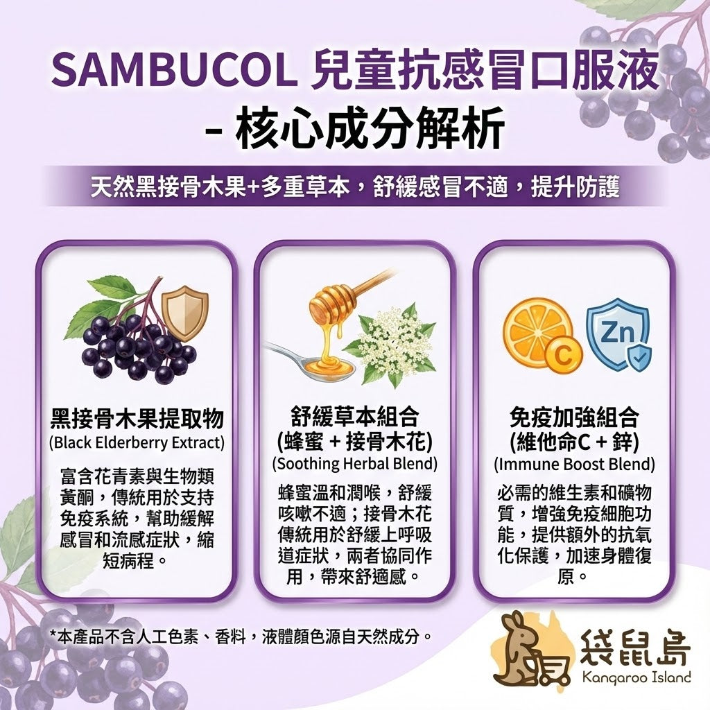 Sambucol 成分解析 - 黑接骨木果、蜂蜜接骨木花與維他命C鋅免疫組合