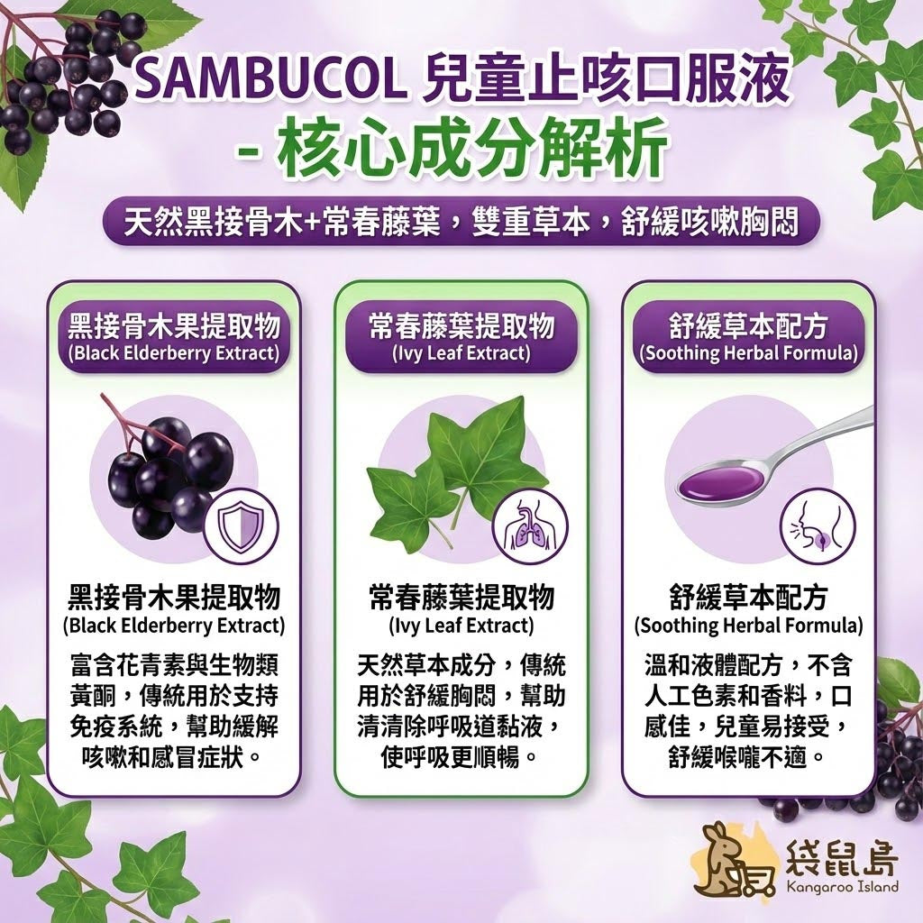 Sambucol 核心成分解析 - 天然黑接骨木果與常春藤葉提取物功效
