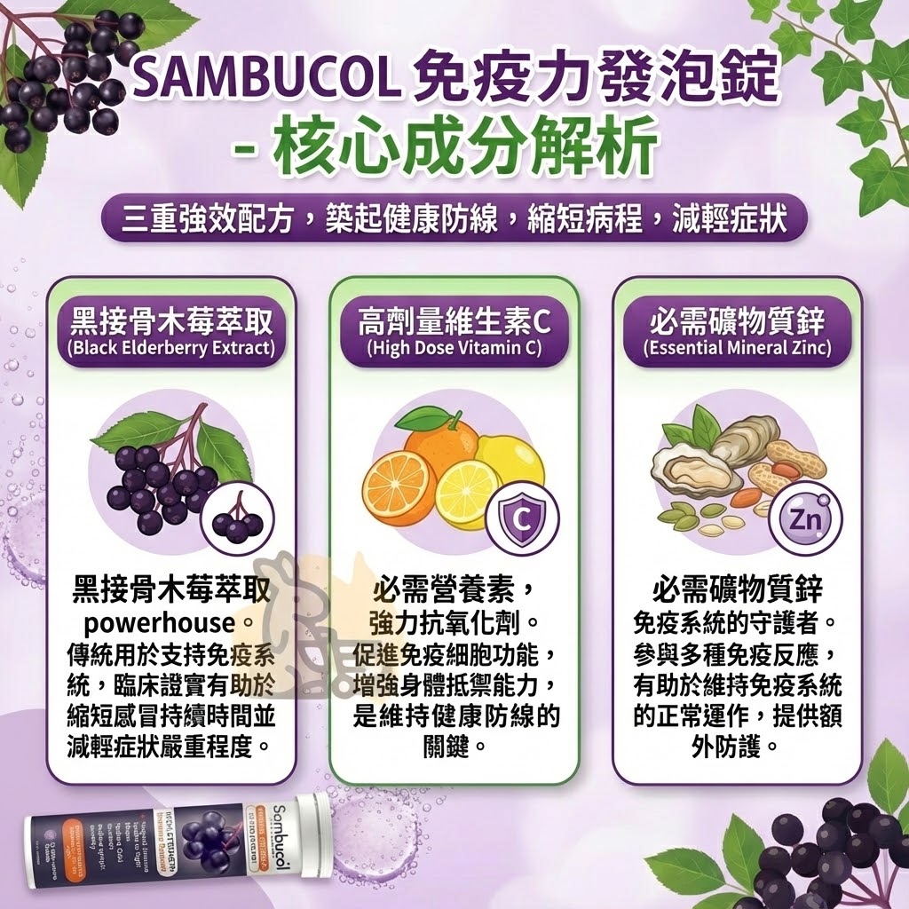 Sambucol 發泡錠成分 - 黑接骨木萃取、1000mg維他命C與鋅