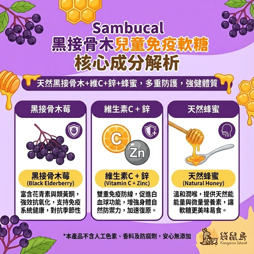 Sambucol 兒童軟糖核心成分：天然黑接骨木莓抗氧化、維生素C+鋅雙重防護、天然蜂蜜溫和潤喉