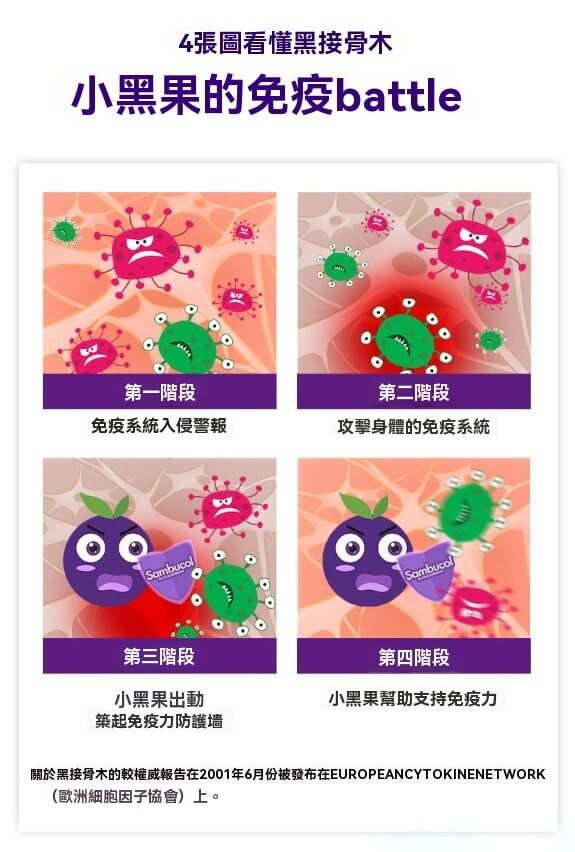 小黑果如何幫助兒童免疫系統對抗病毒，四階段免疫防線。