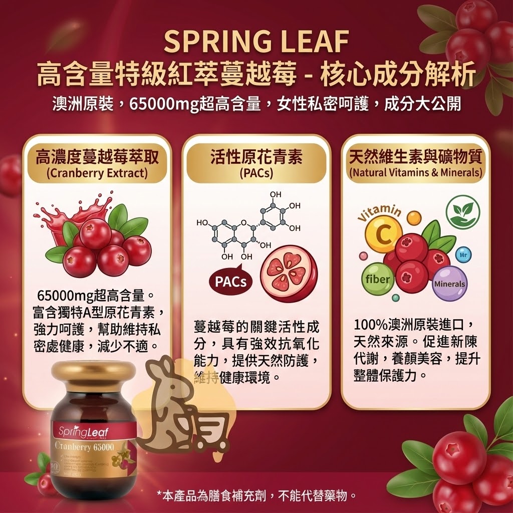 Spring Leaf 蔓越莓成分解析 - 高濃度萃取、活性原花青素PACs與天然維生素