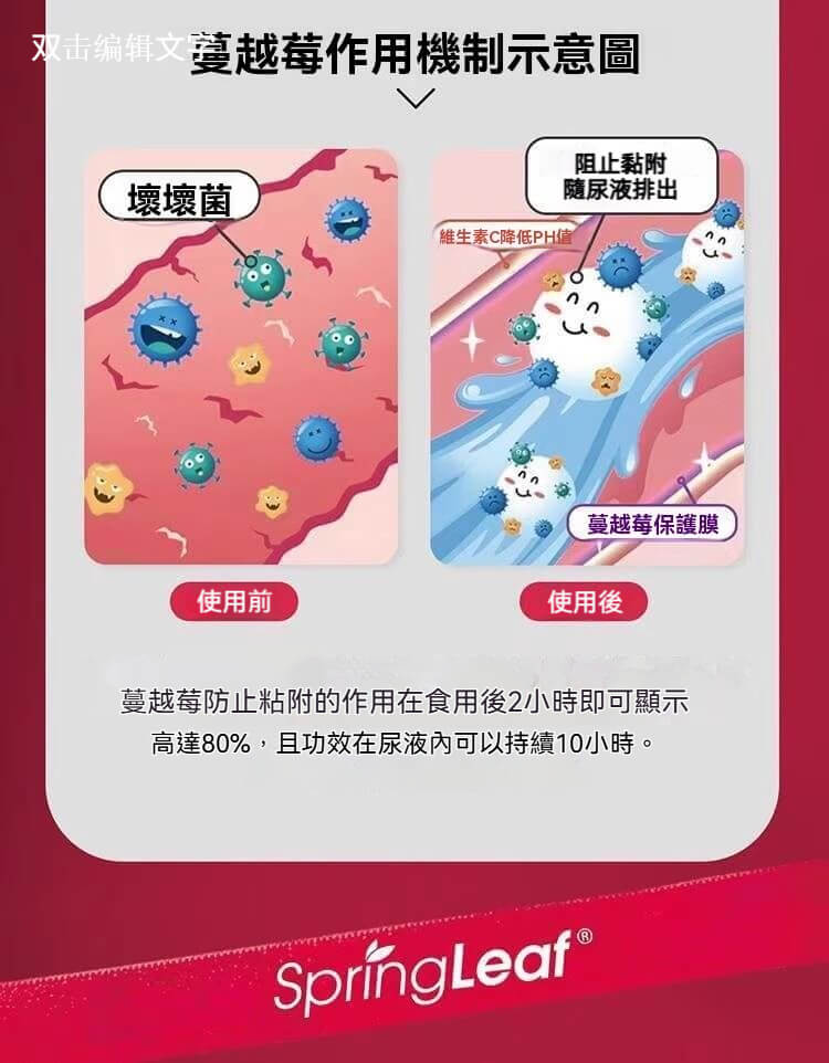 Spring Leaf 蔓越莓膠囊，幫助形成保護膜防止壞菌附著，尿液中維持長效排菌功能