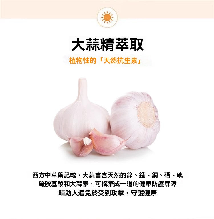 大蒜精萃取含天然抗生素成分，構築身體防護屏障，提升免疫力