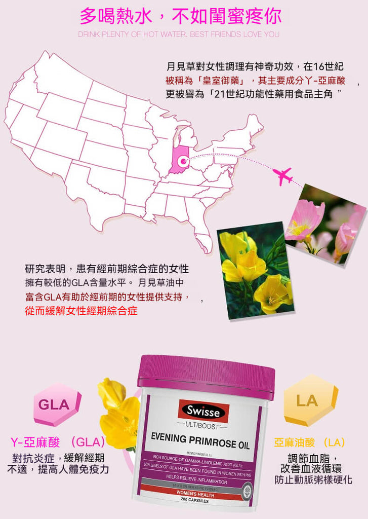 月見草油GLA與LA成分說明，協助改善女性經前不適與生理健康