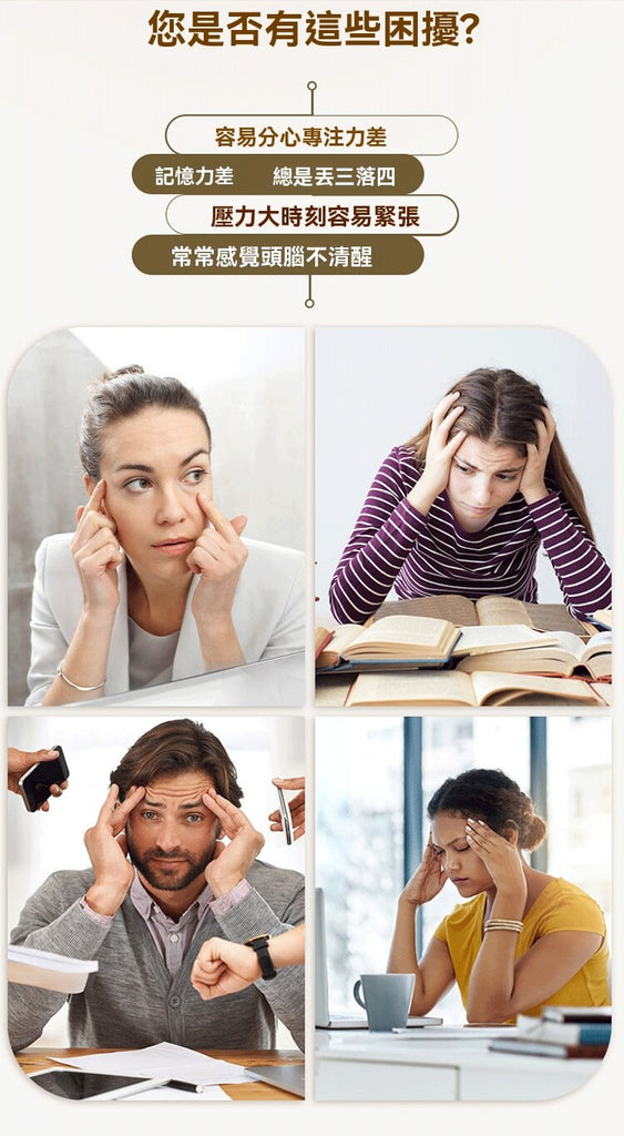 分心、健忘、壓力大？Swisse 銀杏記憶力片幫助改善專注力、記憶力與思緒清晰度