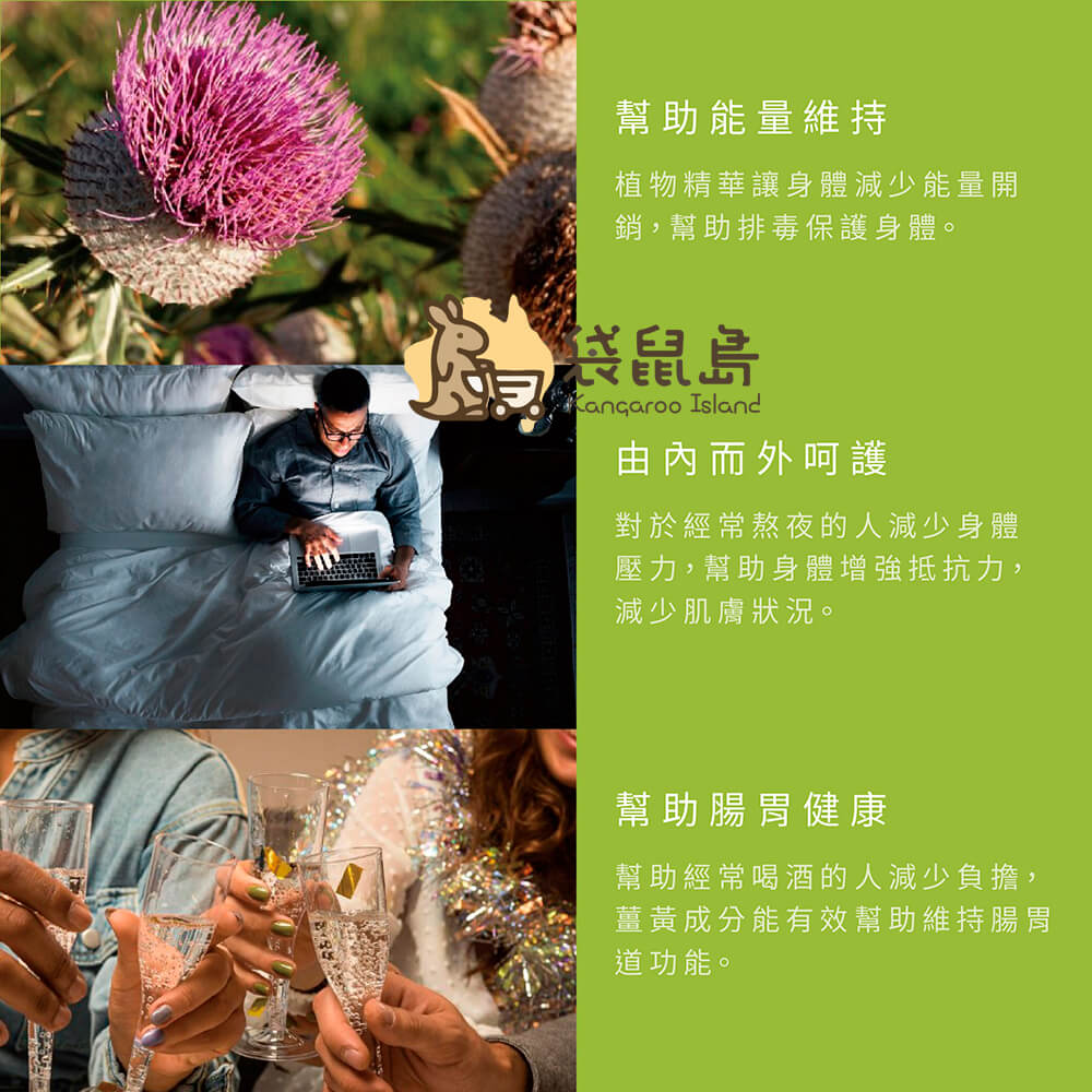 Swisse護肝片幫助排毒、減少能量負擔、支持腸胃健康與提升身體防護力