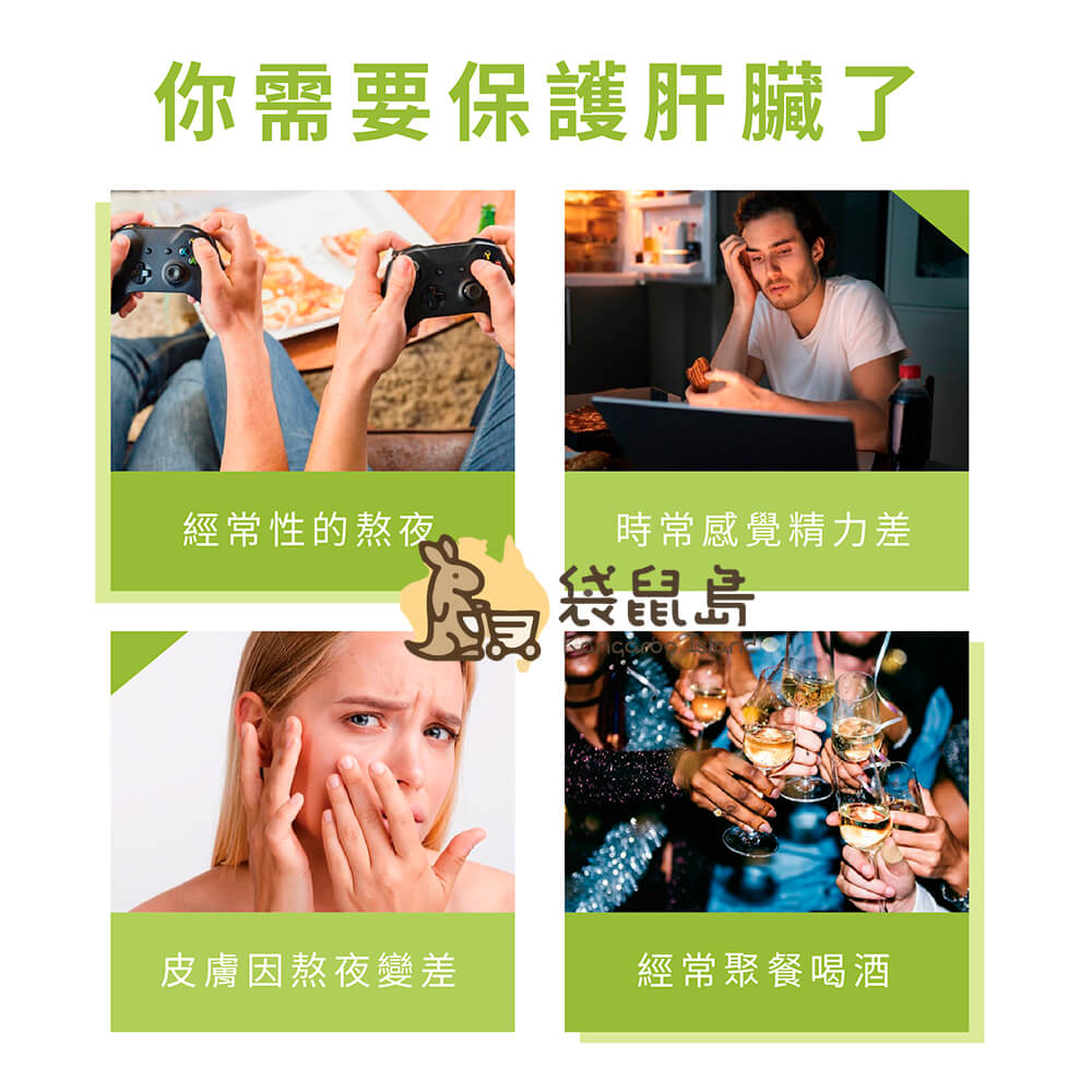 Swisse 護肝片適合經常熬夜、飲酒、作息不正常者保養肝臟