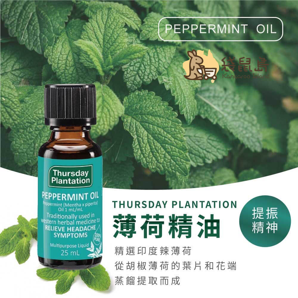 Thursday Plantation薄荷精油25ml產品圖搭配新鮮薄荷葉，主打提振精神