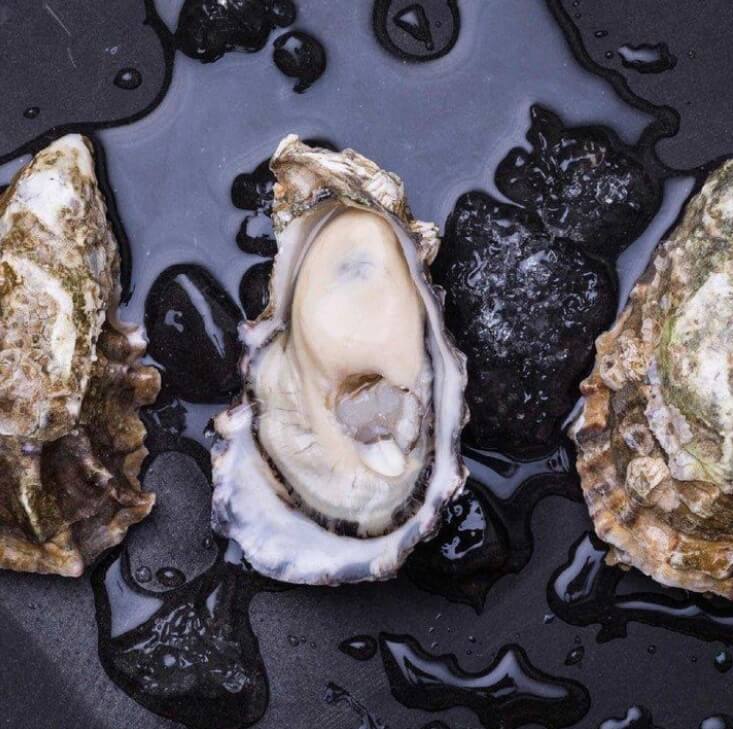 太平洋新鮮生蠔，Zinc Plus Oyster 精華來源原料