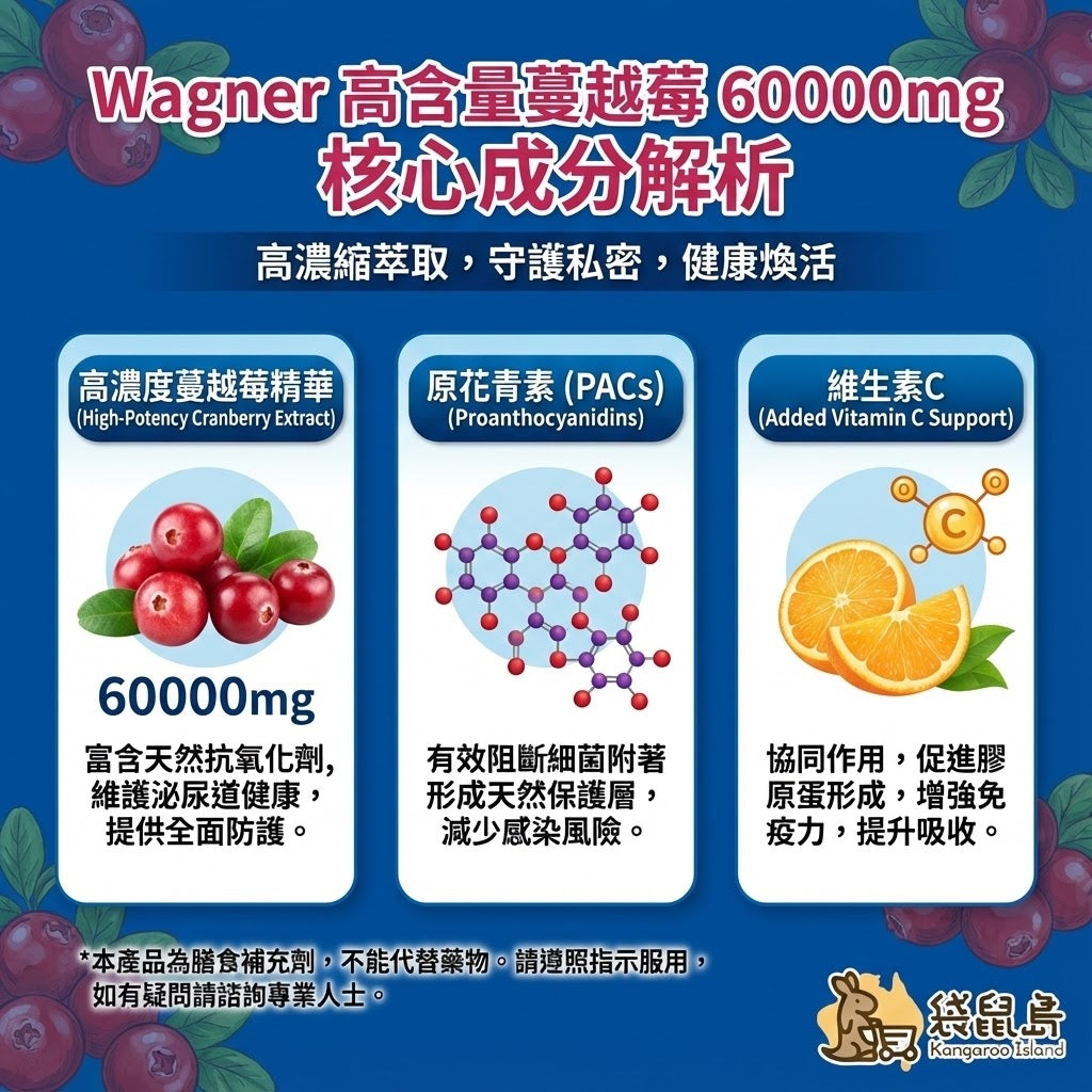 Wagner 蔓越莓核心成分解析 - 富含原花青素(PACs)與維生素C