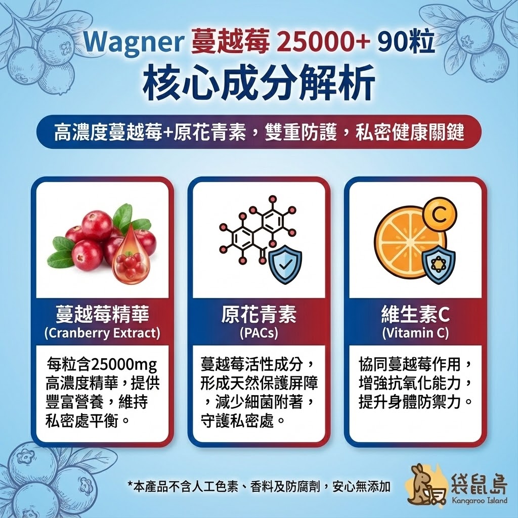 核心成分解析：蔓越莓精華、原花青素(PACs)與維生素C雙重防護