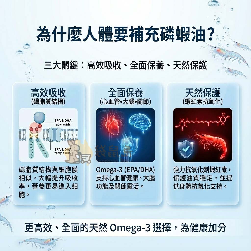為什麼選擇磷蝦油？磷脂質結構提升Omega-3吸收率與生物利用率