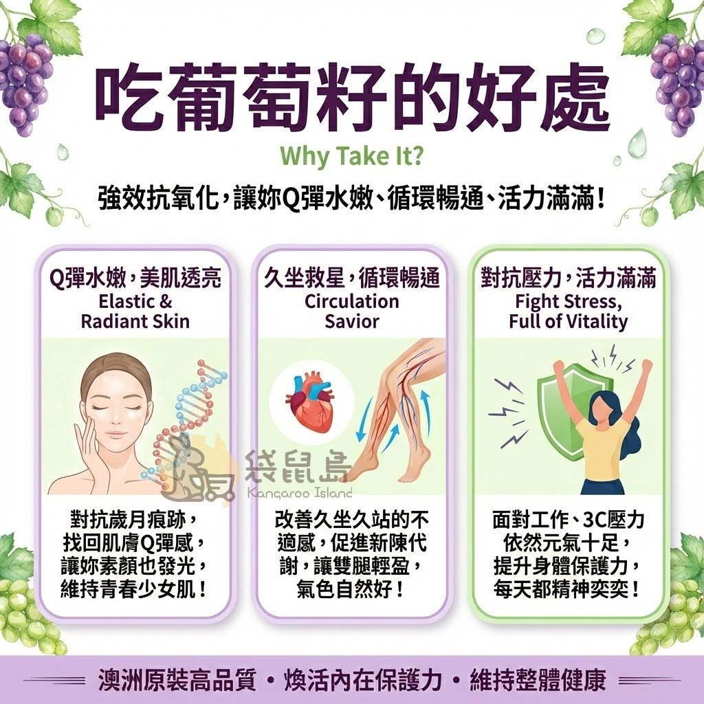 吃葡萄籽的好處：恢復肌膚Q彈水嫩、改善久坐血液循環與對抗生活壓力